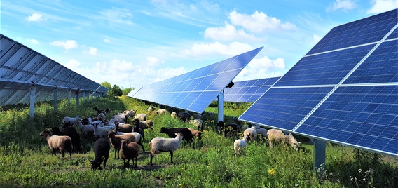 Enel Green Power's 150 MW Aurora Creek solar project